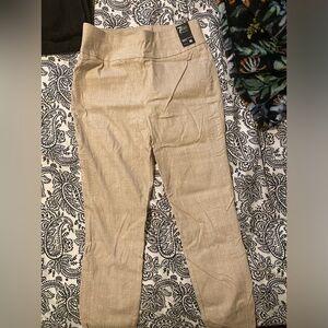 New York & Company pull on pants